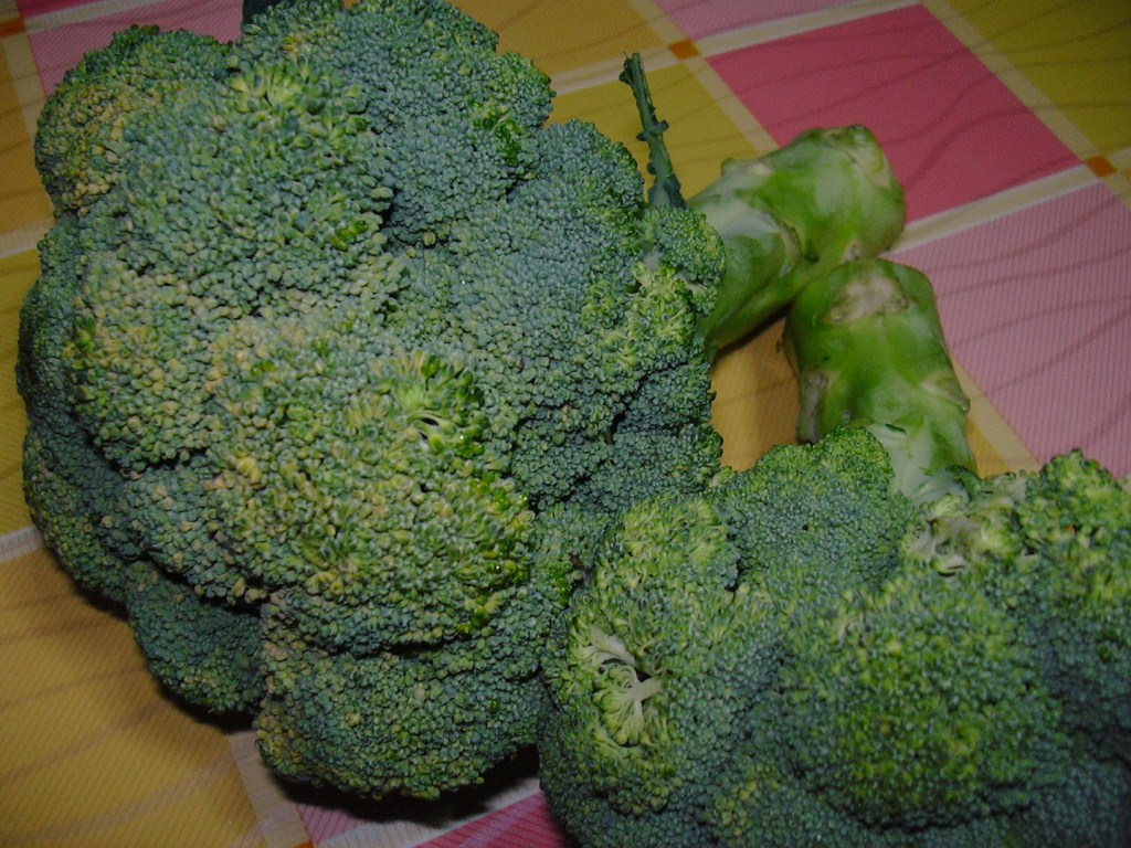 Cimette di broccoli