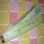 Cardi ripieni alla genovese