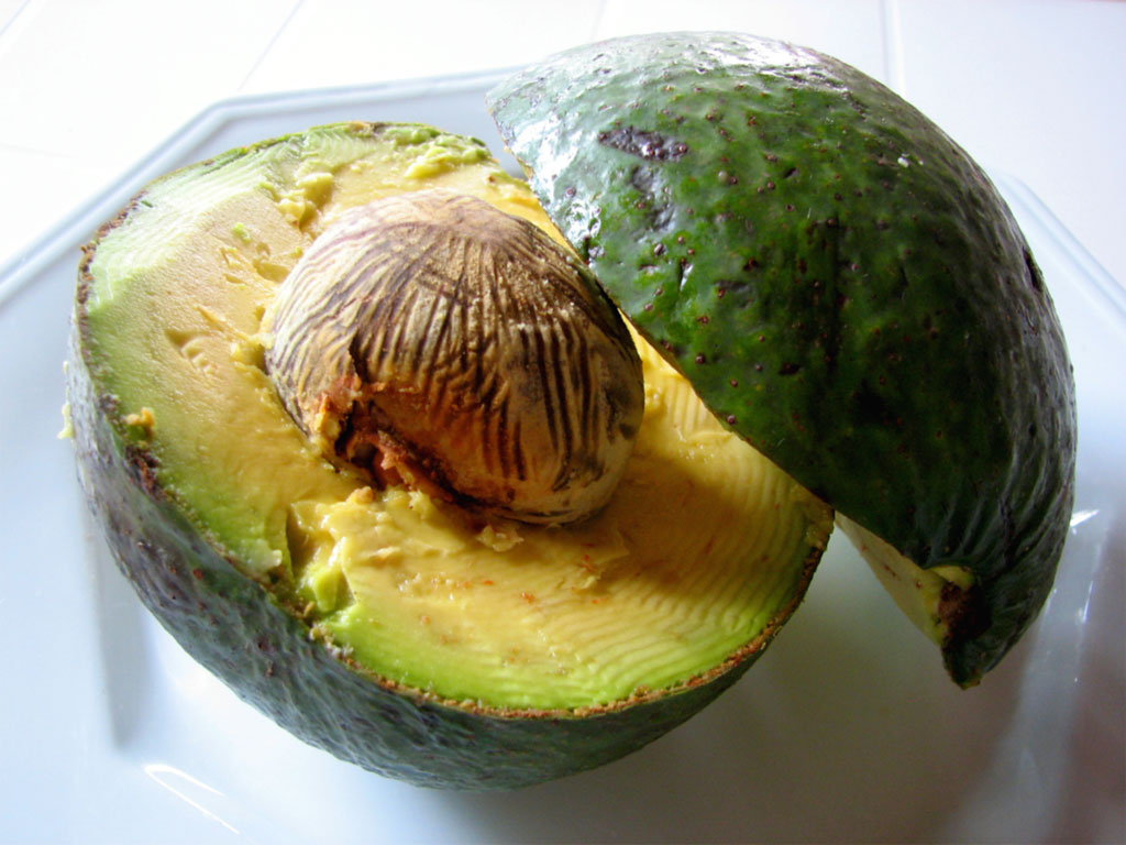 Avocado maturi