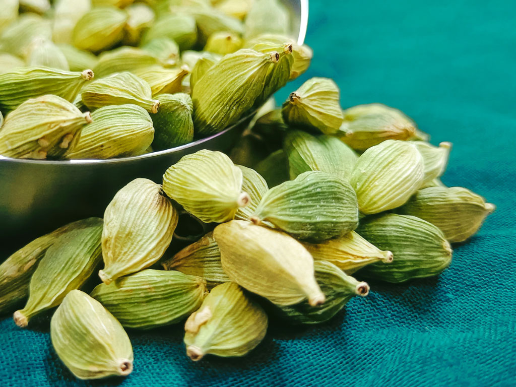 Bacche di cardamomo