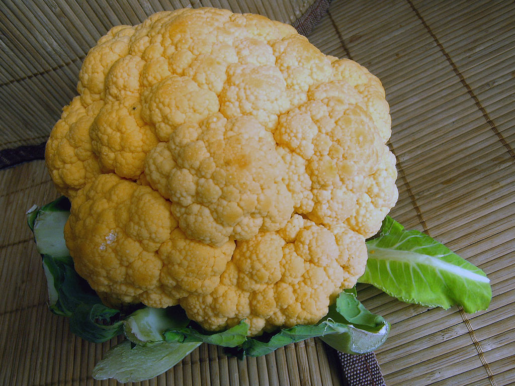 Cavolfiore Cavolfiore