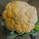 Bignè di cavolfiore