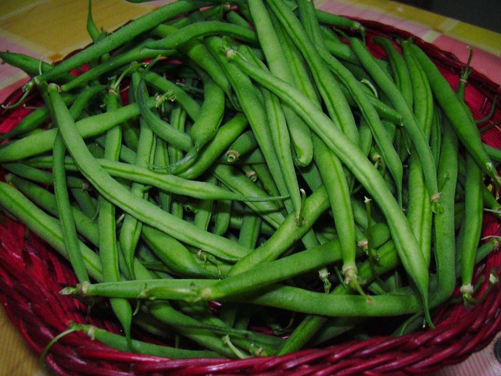 Fagiolini cornetti