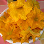 Fiori di zucca fritti (4)