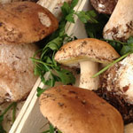 Tagliatelle ai funghi con salsiccia