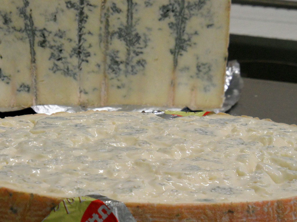 Gorgonzola morbido