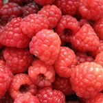 Crostata ai frutti di bosco