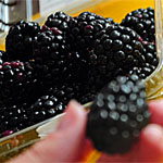 Crostata di more (2)