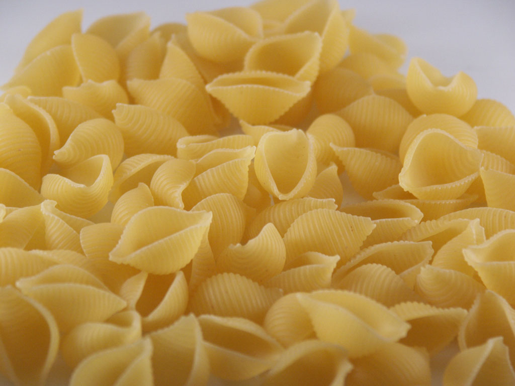 Pasta tipo conchiglie grandi