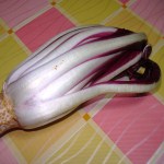 Radicchio mimosa