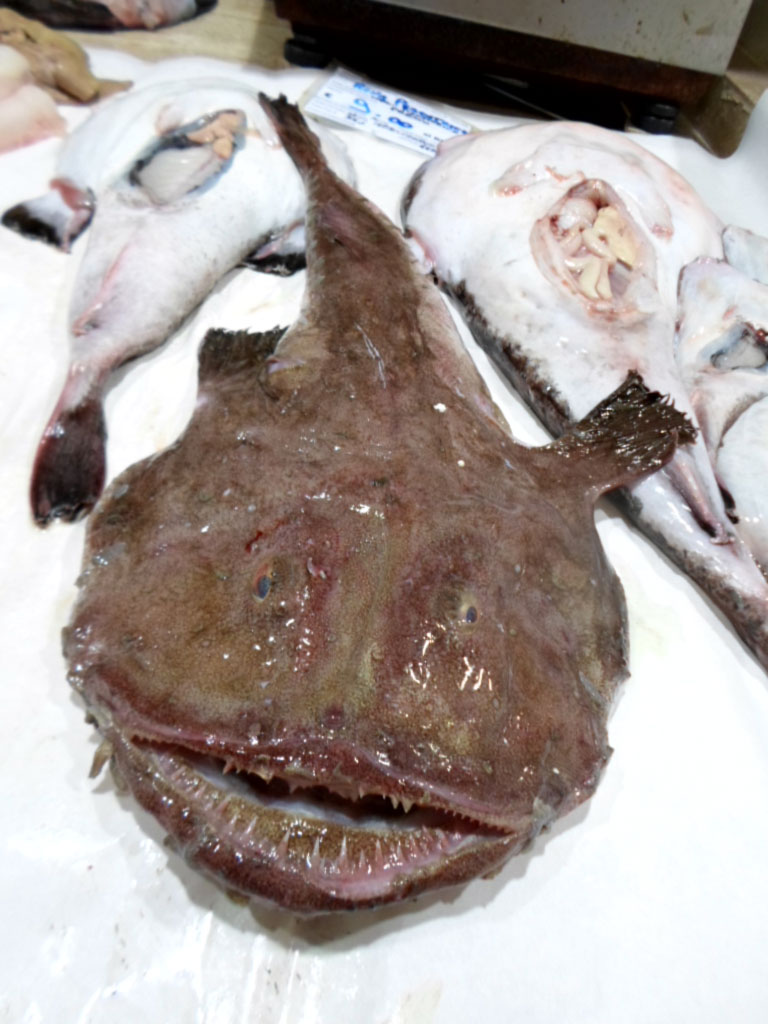 Coda di rospo (rana pescatrice) (600 g)