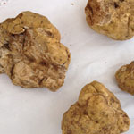 Tartufo d'alba