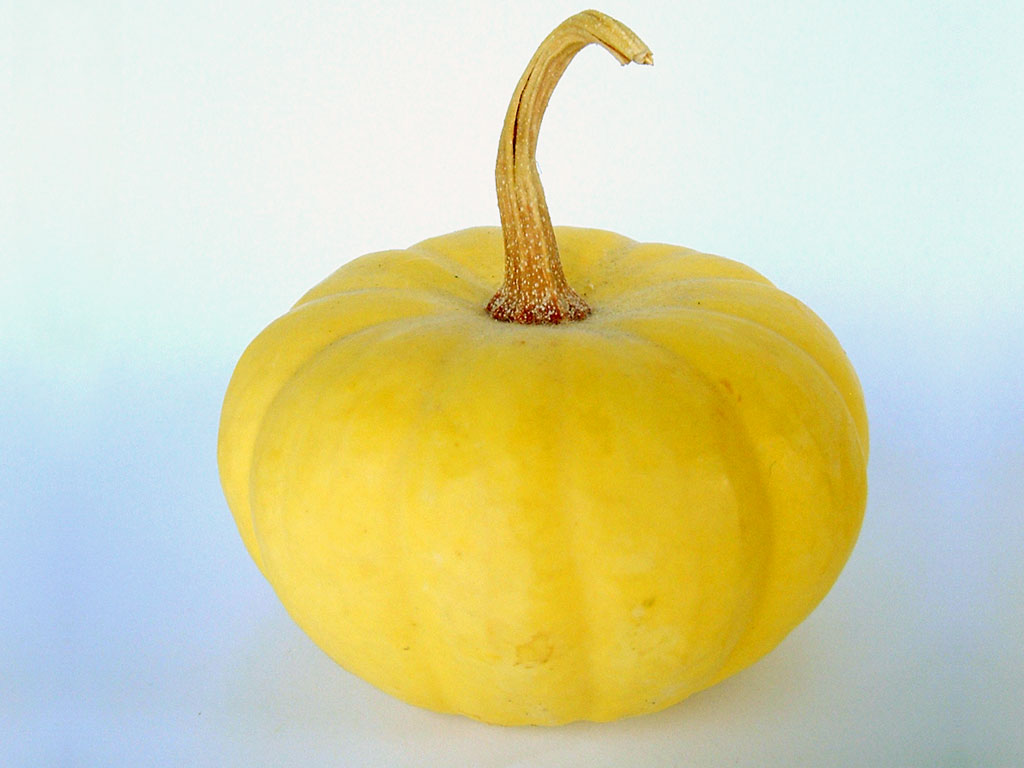 Zucca gialla