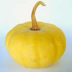 Zucca gialla