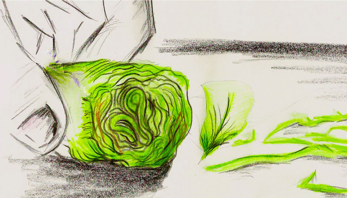 Chiffonade