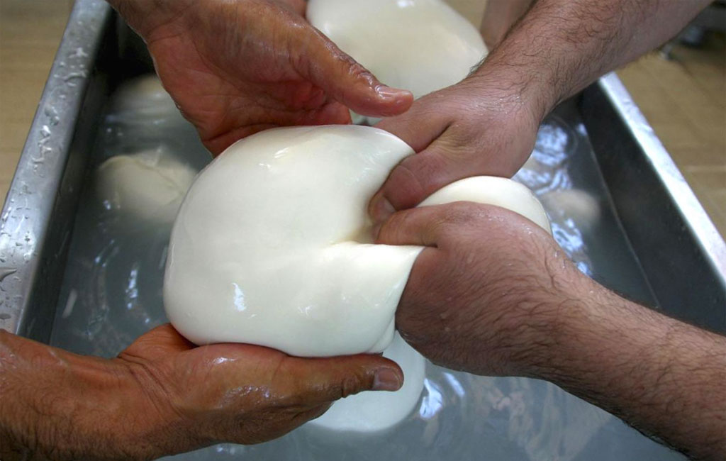 La lavorazione della mozzarella