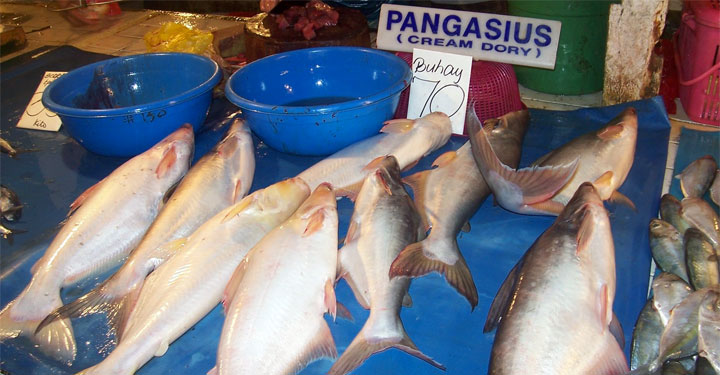 Pangasio pesce povero