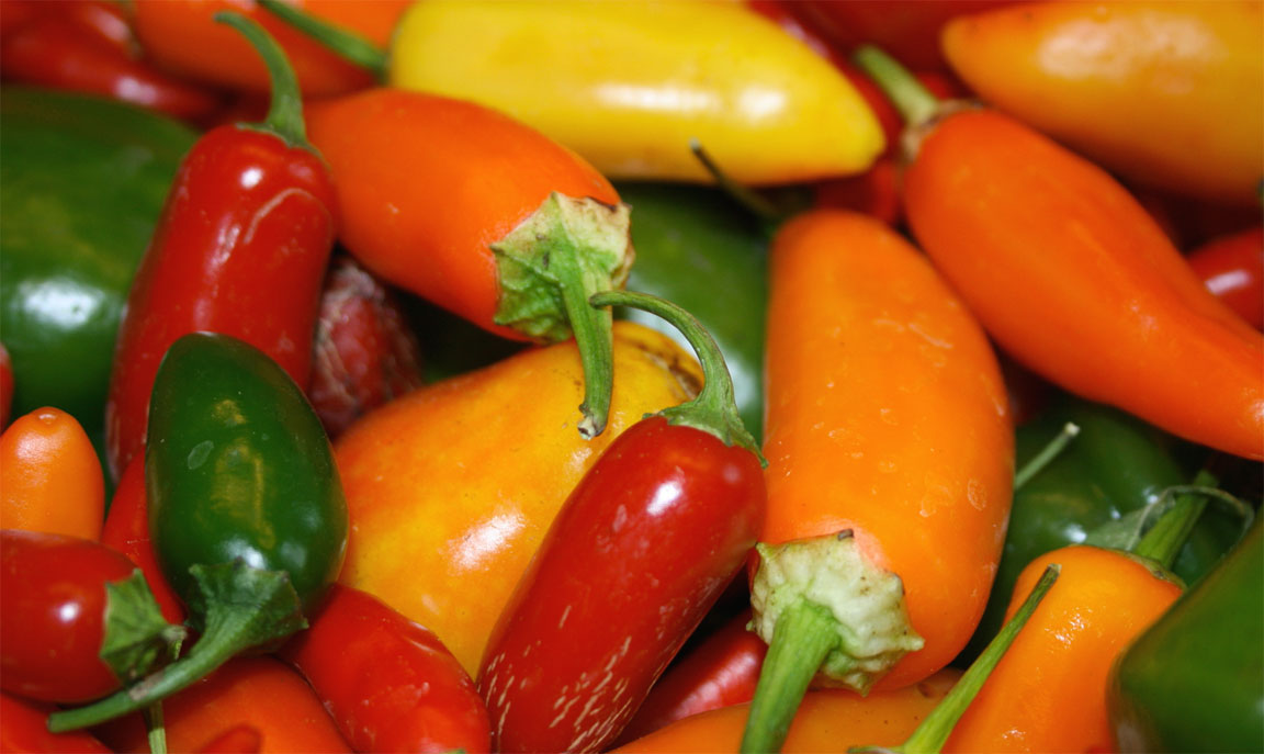 Capsaicina e scala di Scoville: la misura del piccante Capsaicina e scala di Scoville: la misura del piccante