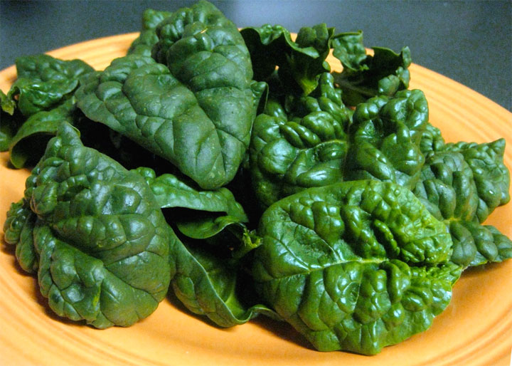 Spinaci crudi
