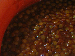 Stewed lentils