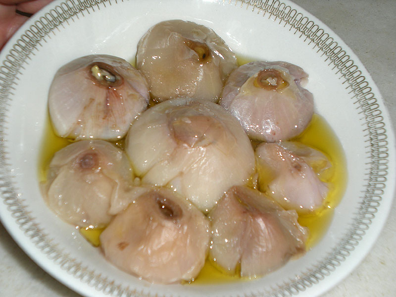 Lampascioni lessati Lampascioni lessati