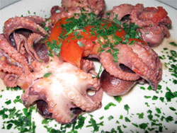 Octopus stewed