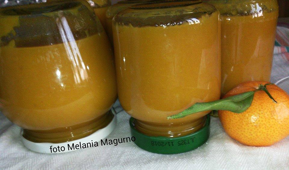 Marmellata con mandarini